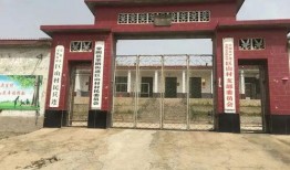 蒙阴县最新爆料消息新闻,揭秘当地发展新动态